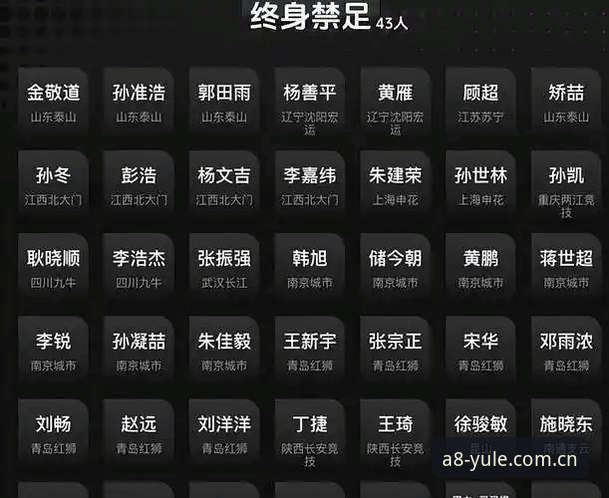 从足协第三批禁足名单看中国足球治理：一份实用的行业警示指南