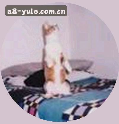 陈总
